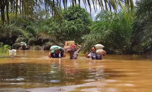 5 Kecamatan Terendam Banjir, Sinar Mas Gerak Cepat Salurkan Bantuan di Ketapang - GenPI.co Kalbar