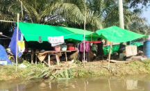 PT Charond Pokphan Salurkan 100 Ribu Butir Telur untuk Korban Banjir - GenPI.co Kalbar