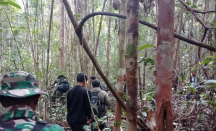 Pencarian Alwi Berlanjut, Satgas Pamtas di Badau Sisir Hutan Desa Kekurak - GenPI.co Kalbar