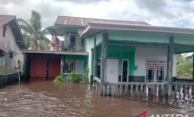 Banjir Rendam Ratusan Rumah Warga di Singkawang, Dewan: Tanggul Tak Pernah Diperbaiki - GenPI.co Kalbar