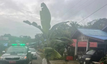 Warga Tanam Pohon Pisang di Jalan Nasional, Wabup Kapuas Hulu: Sabar - GenPI.co Kalbar