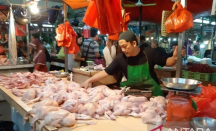 Pasca Lebaran, Harga Daging Ayam di Kota Pontianak Turun - GenPI.co Kalbar