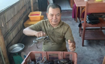 Upayakan Keberlanjutan, Pelaku Usaha Budi Daya Pembesaran Kepiting di Kubu - GenPI.co Kalbar