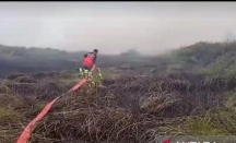 Kebakaran Lahan di Kubu Raya, Ketersediaan Air Jadi Kendala Pemadaman Api - GenPI.co Kalbar