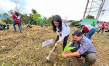PMI Landak Tanam 500 Pohon, Karolin: Merawat Bumi Bagian dari Merawat Kemerdekaan Indonesia - GenPI.co Kalbar
