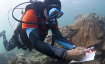 Uni Eropa Danai Rehabilitasi Terumbu Karang di Pulau Derawan - GenPI.co Kaltim