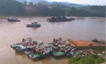 Misteri Sungai Mahakam: Ular Raksasa Bikin Merinding - GenPI.co Kaltim