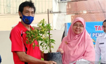 Kerap Picu Inflasi, Pemprov Kalimantan Timur Gencarkan Gerakan Tanam Cabai - GenPI.co Kaltim