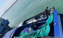 Penyelundupan 60 Ribu Benih Lobster Digagalkan di Batam - GenPI.co Kepri