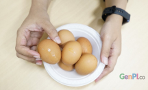 Fakta Terkait Telur yang Perlu Kamu Tahu - GenPI.co Kepri