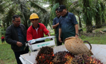 6.220 Calon PMI Direkom Disnakertrans Lombok Tengah - GenPI.co NTB