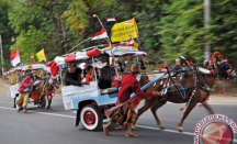 Mengenal Dokar, Transportasi Tradisional di Lombok - GenPI.co NTB