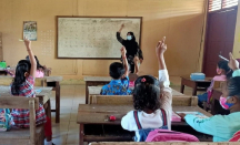 1.511 Guru Honorer di Lombok Tengah Daftar Jadi PPPK - GenPI.co NTB