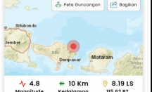 Gempa Bumi Magnitudo 4,6 di Bali Terasa Hingga Mataram - GenPI.co NTB