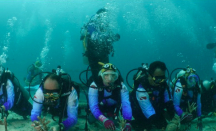 Pulihkan Ekosistem Wisata Laut di Aceh, Pekerja BRI Lakukan Transplantasi Terumbu Karang di Perairan Kepulauan Sabang - GenPI.co NTB