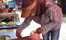 Harga Cabai Merah di Inhil Tembus Rp150 Ribu - GenPI.co Riau