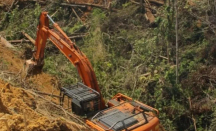 Gubernur Minta Otak Perambahan Hutan di Inhu Diusut - GenPI.co Riau