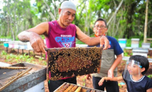 3 Manfaat Lilin Lebah untuk Kesehatan, Bibir Jadi Lembut! - GenPI.co Riau