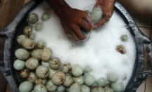 3 Manfaat Kesehatan Mengonsumsi Telur Asin, Ajaib! - GenPI.co Riau