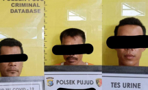 3 Pria Punguti Brondolan Sawit di Rohil, Langsung Dibekuk Polisi - GenPI.co Riau