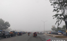 Pekanbaru Dikebung Kabut, BMKG Beri Penjelasan - GenPI.co Riau
