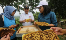 3 Khasiat Lilin Lebah untuk Kesehatan, Bisa Melembapkan Kulit! - GenPI.co Riau