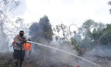 Ribuan Hektare Lahan Terbakar di Riau, Api Dijinakkan Water Bombing - GenPI.co Riau