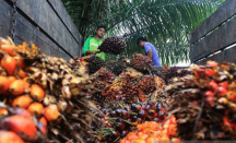 Wow, Nilai Tukar Petani Riau Jadi yang Tertinggi pada Oktober Ini - GenPI.co Riau