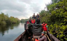 Sempat Tertangkap, BBKSDA Riau Lepas Anak Harimau ke Habitatnya - GenPI.co Riau