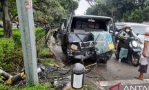 Mobil Pengangkut Ayam Alami Kecelakaan di Pekanbaru Pagi Tadi - GenPI.co Riau