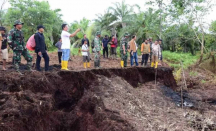 Pulau Bengkalis Terancam Hilang dari Peta, Wabup: Butuh Rp 2,5 T - GenPI.co Riau