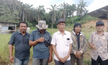 Tak Ada Subsidi, Petani Sawit di Siak Keluhkan Harga Pupuk Mahal - GenPI.co Riau