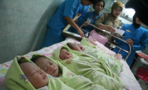Temuan Bayi di Bengkalis, Dinsos Catat Ada 20 Orang Ajukan Hak Asuh - GenPI.co Riau