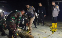Pemancing di Pekanbaru Temukan Bom Mortir Berat 250 Kg - GenPI.co Riau