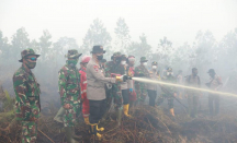 Polisi Sebut 85 Persen Karhutla di Riau Sudah Teratasi - GenPI.co Riau
