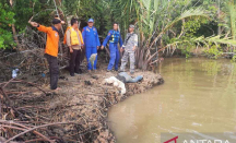 Korban Kecelakaan Kapal di Riau Ditemukan, Total Menjadi 12 Orang - GenPI.co Riau