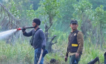BBKSDA Riau Monitoring Karhutla Seluas 10 Hektare di Kawasan Konservasi - GenPI.co Riau