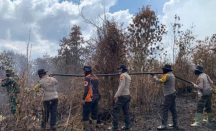 Karhutla di Cagar Biosfer Giam Siak Kecil Bengkalis Berhasil Dipadamkan - GenPI.co Riau