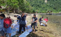 Polres Indragiri Hilir Tangkap 2 Penyelundup Benih Lobster - GenPI.co Riau