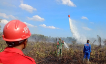BPBD Riau Sebut Kabut Asap Pekanbaru Kiriman dari Sumsel dan Jambi - GenPI.co Riau