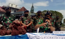 TNI AL Makassar Gagalkan Penyelundupan Terumbu Karang Merah, Top - GenPI.co Sulsel