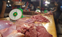 Wah, Daging Sapi Melimpah di Sultra Tak Pengaruhi Harga di Pasar - GenPI.co Sultra