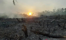 Kebakaran 0,4 Hektare Hutan dan Lahan di OKU Berhasil Diatasi - GenPI.co Sumsel