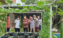 Lokasi Penelitian Urban Farming Unsri Dikunjungi Mahasiswa Jepang - GenPI.co Sumsel