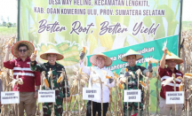 Demplot Jagung Petani di Lengkiti OKU Panen Perdana - GenPI.co Sumsel