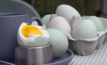 Telur Asin Ternyata Punya 3 Manfaat untuk Kesehatan, Simak Nih - GenPI.co Sumsel