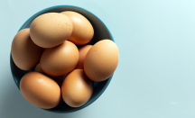 Waspada Bahaya Salmonella pada Telur, Ini Cara Menghindarinya - GenPI.co Sumsel