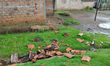 Puluhan Rumah Warga OKU Timur Rusak Akibat Diterpa Hujan Es - GenPI.co Sumsel