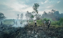 Polisi Tangkap Warga Pembakar Lahan Pertanian di Muba - GenPI.co Sumsel