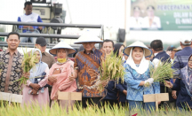 Para Petani di OKU Timur Dapat Bantuan Alsintan dari Kementan - GenPI.co Sumsel